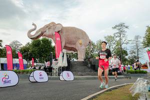 BIB: 
                            <button type="button" onclick="openModal(26528446)" class="btn btn-primary btn-sm float-right btn-popup" data-toggle="modal" data-target=".modal-high-quality">
                        <i class="fas fa-shopping-cart"></i> Add to Cart
                    </button>
                                            <button type="button" onclick="isThisMe(26528446, true)" class="btn btn-success btn-sm float-right btn-popup btn-isme hidden" data-toggle="tooltip" data-placement="bottom" title="นี่คือรูปของคุณใช่ไหม คลิกที่นี่เพื่อเอาเข้าอัลบั้ม">
                        <i class="fas fa-plus"></i> Add to album
                    </button>
                    <button type="button" onclick="isThisMe(26528446, false)" class="btn btn-warning btn-sm float-right btn-popup btn-isnotme hidden">
                        <i class="fas fa-ban"></i> Remove from album
                    </button>